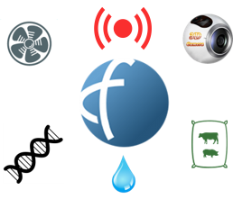 tild3664-3266-4662-b234-323463333033__1725827